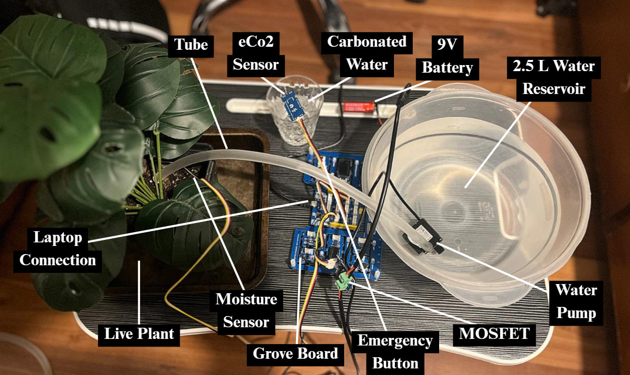 Automatic Plant Watering System